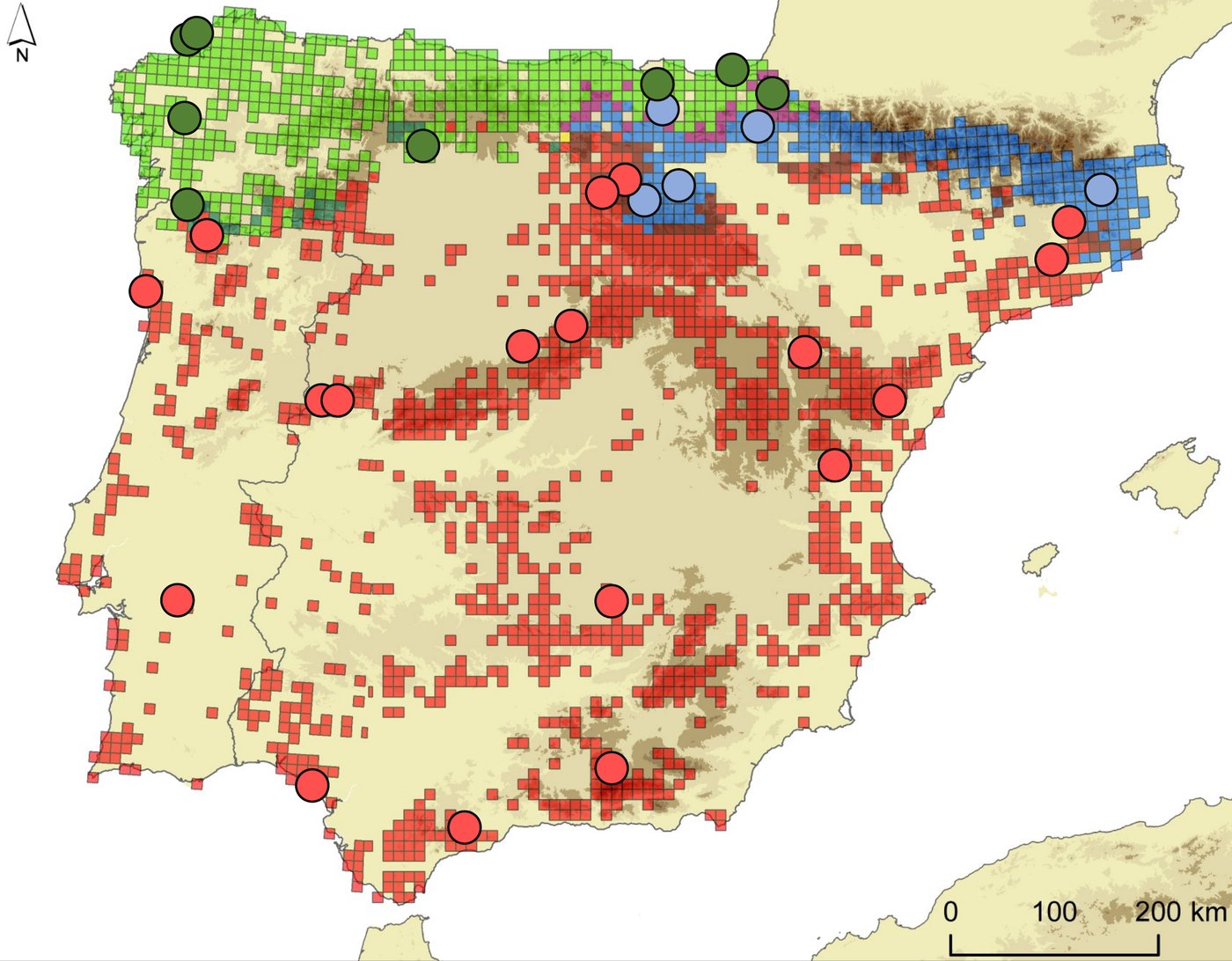 Mapa de distribución de las víboras ibéricas en la Península Ibérica, con poblaciones monitorizadas de V. seoanei (verde), V. aspis (azul) y V. latastei (rojo)